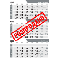 Квартальна сітка БАРВА срібна 2026